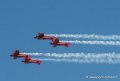 marche-verte-g91_4784