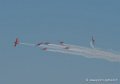 marche-verte-g91_4787