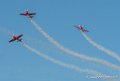 marche-verte-g91_4871