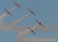 marche-verte-g92_7643
