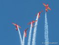 marche-verte-g92_7667