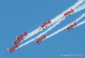 marche-verte-g92_7994