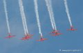 marche-verte-g92_8219