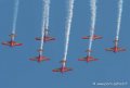 marche-verte-g92_8243