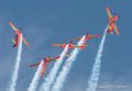 marche-verte-g92_8251