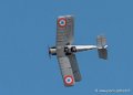 nieuport17-g92_7735