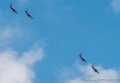 paf-g92_8188