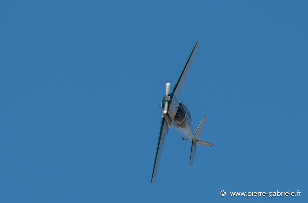 swift-g92_7953.jpg