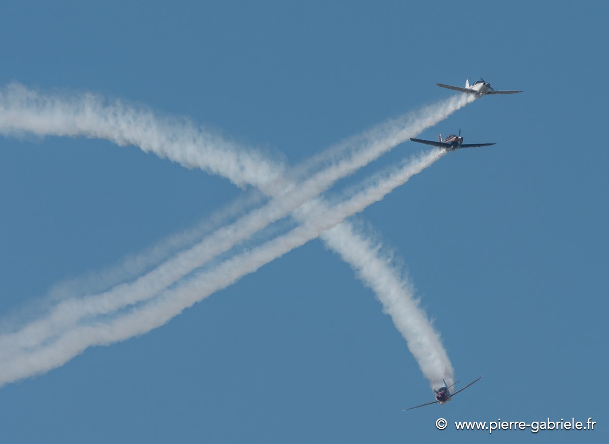 swift-g92_7962.jpg