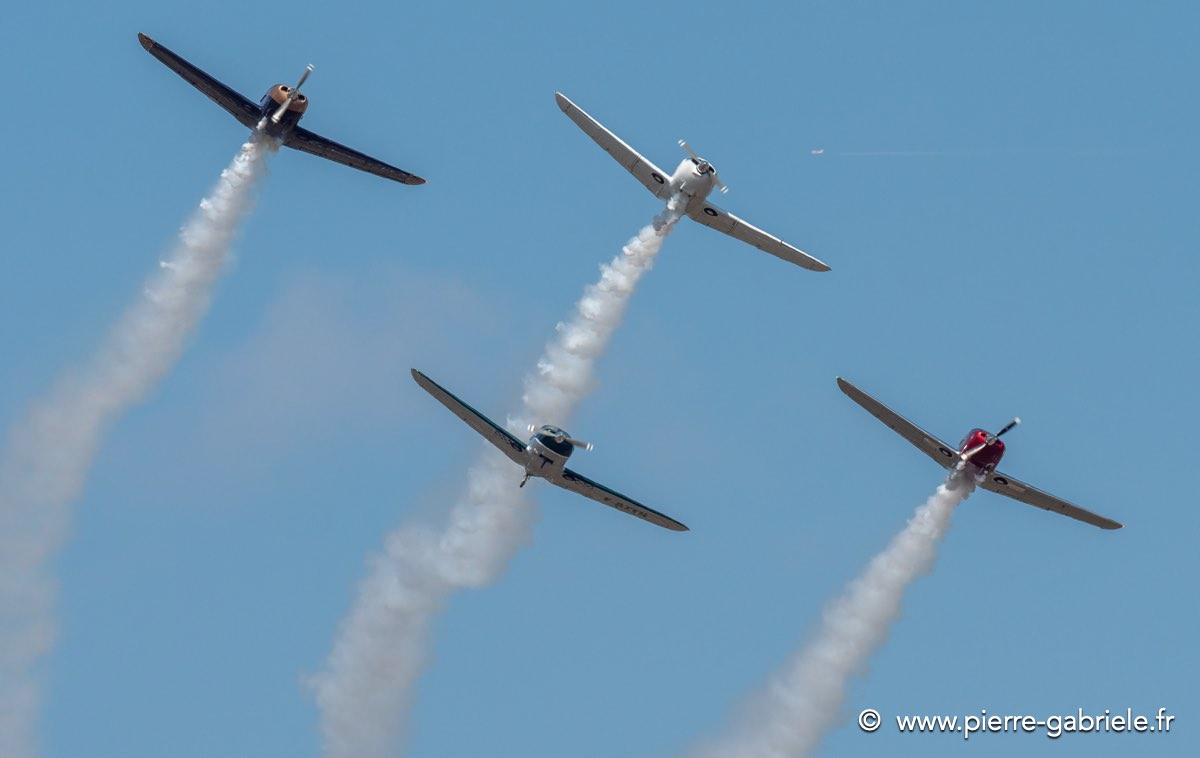 swift-g92_8307.jpg