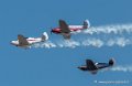 swift-g92_8317