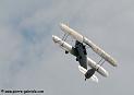 stampe_5482