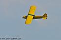 piper-cub_2897