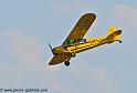 piper-cub_2901
