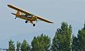 piper-cub_2904