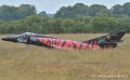 etendard_4408