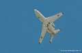 falcon_5017