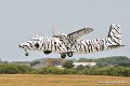 nord262_4848