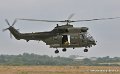 puma_4161