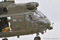 puma_4162