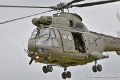 puma_4166