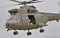 puma_4167