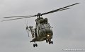 puma_4168