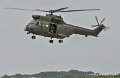 puma_5199