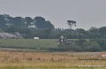 rafale_4357