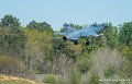 mirage-f1_7914