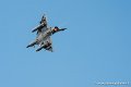 mirage-2000_1640