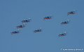 paf_2183