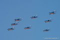 paf_2184