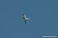 mirage2000_2088