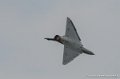mirage2000_2563