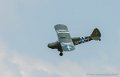 piper_2272