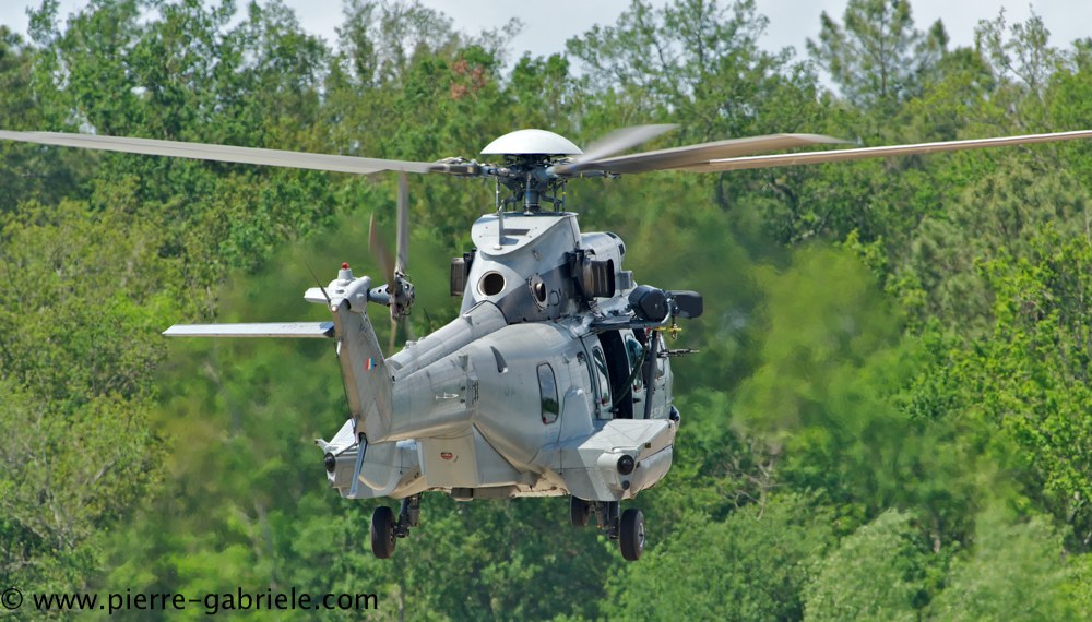 caracal_4564.jpg