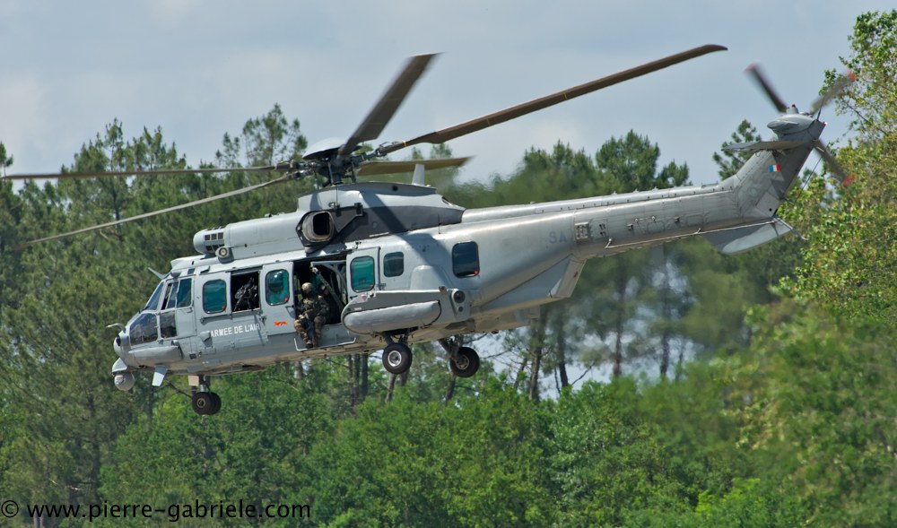 caracal_4566.jpg