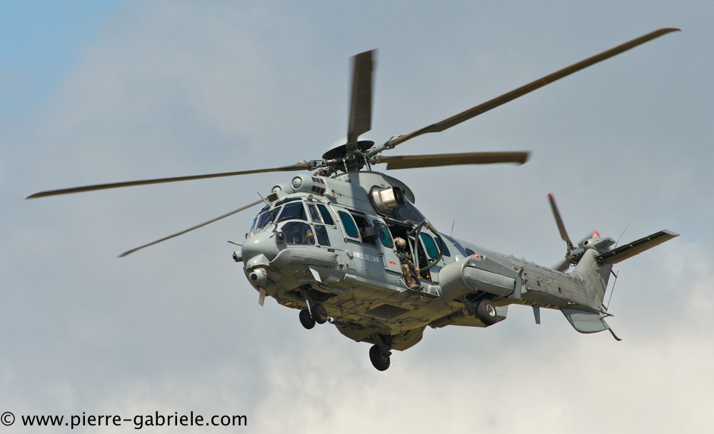 caracal_4580.jpg