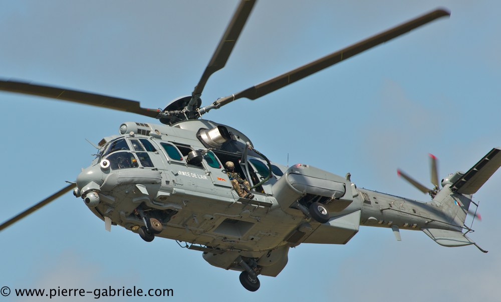 caracal_4581.jpg