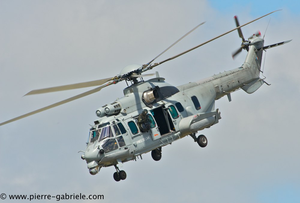 caracal_4587.jpg