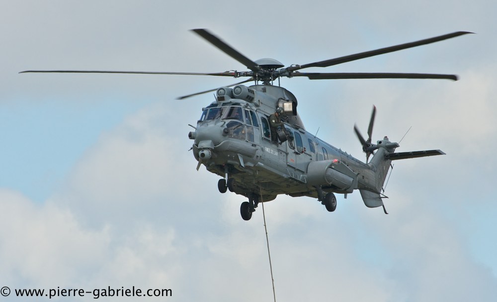 caracal_4603.jpg