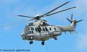 caracal_4607