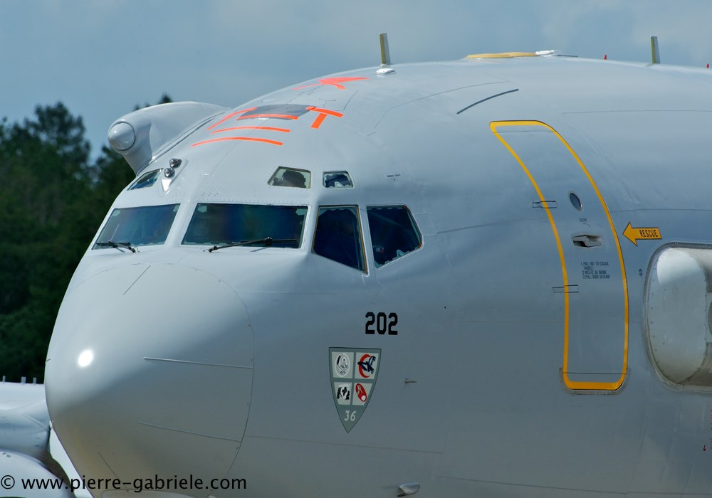 e3f_4541.jpg