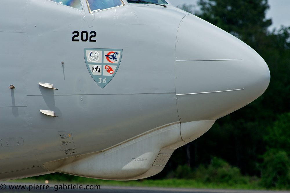 e3f_4546.jpg