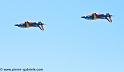 paf_4987