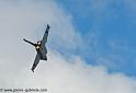 rafale_4650