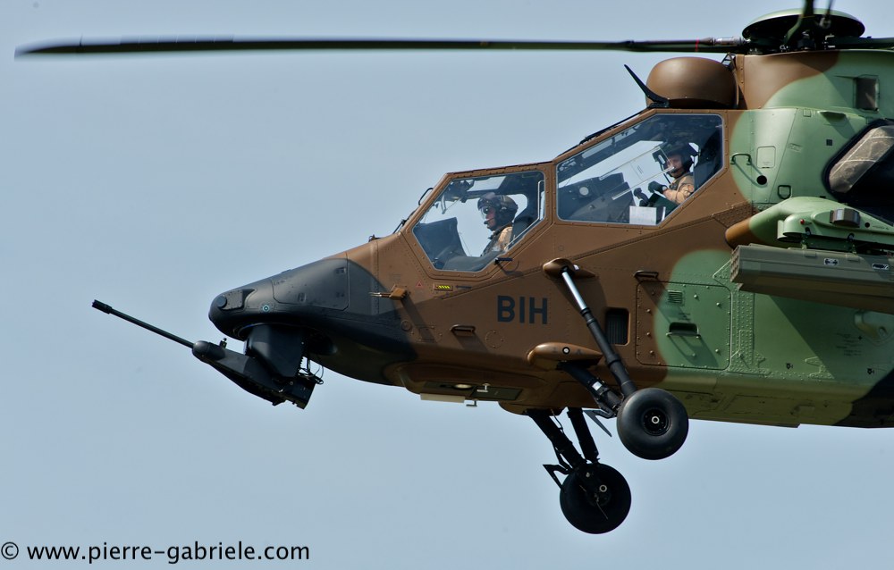 tigre_4112.jpg