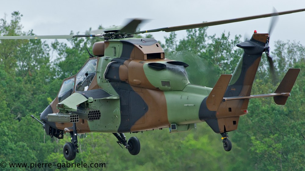 tigre_4147.jpg