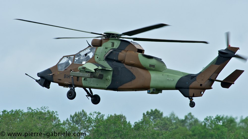 tigre_4148.jpg